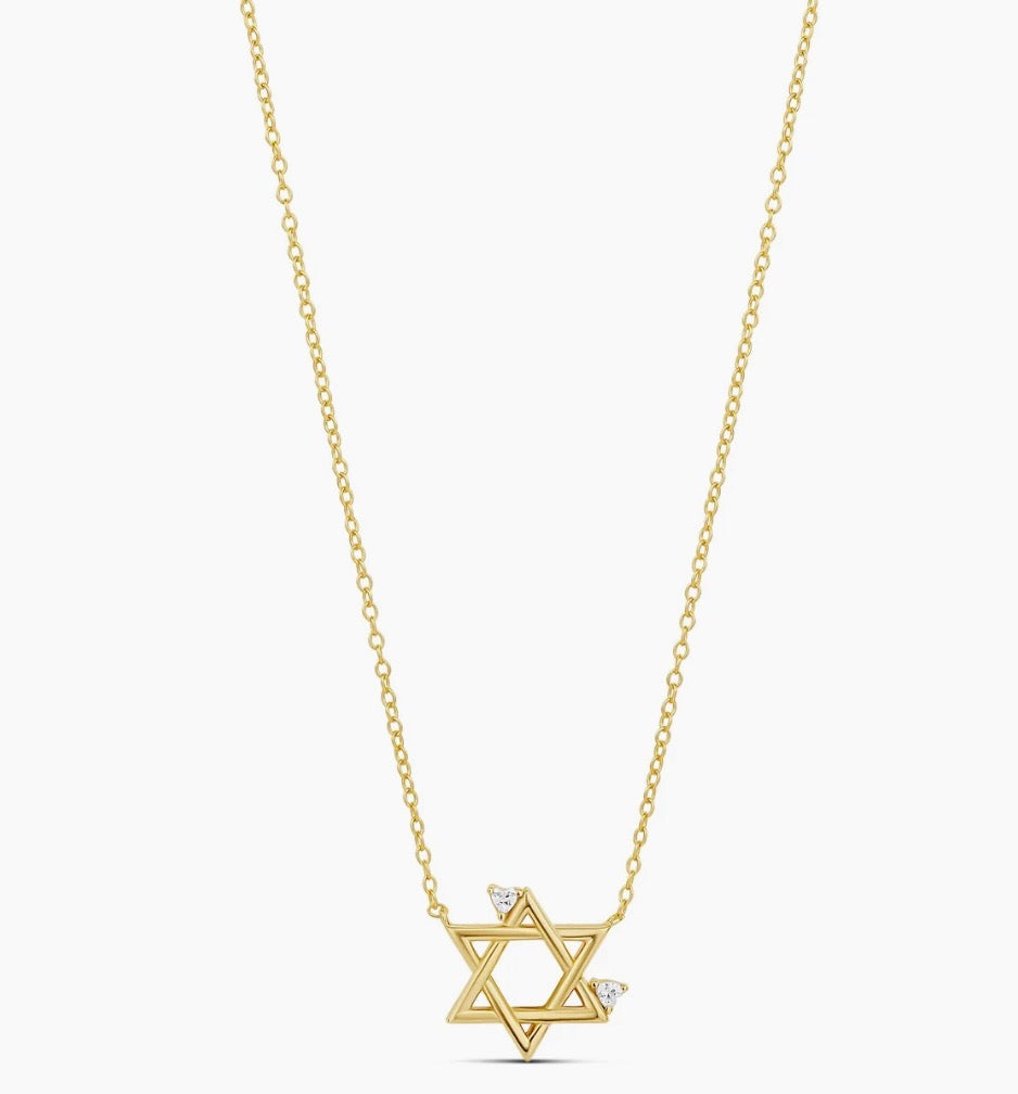 PETITE HEART STAR OF DAVID NECKLACE