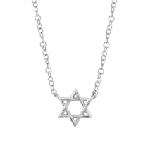 14k White Gold Star Of David Diamond Necklace