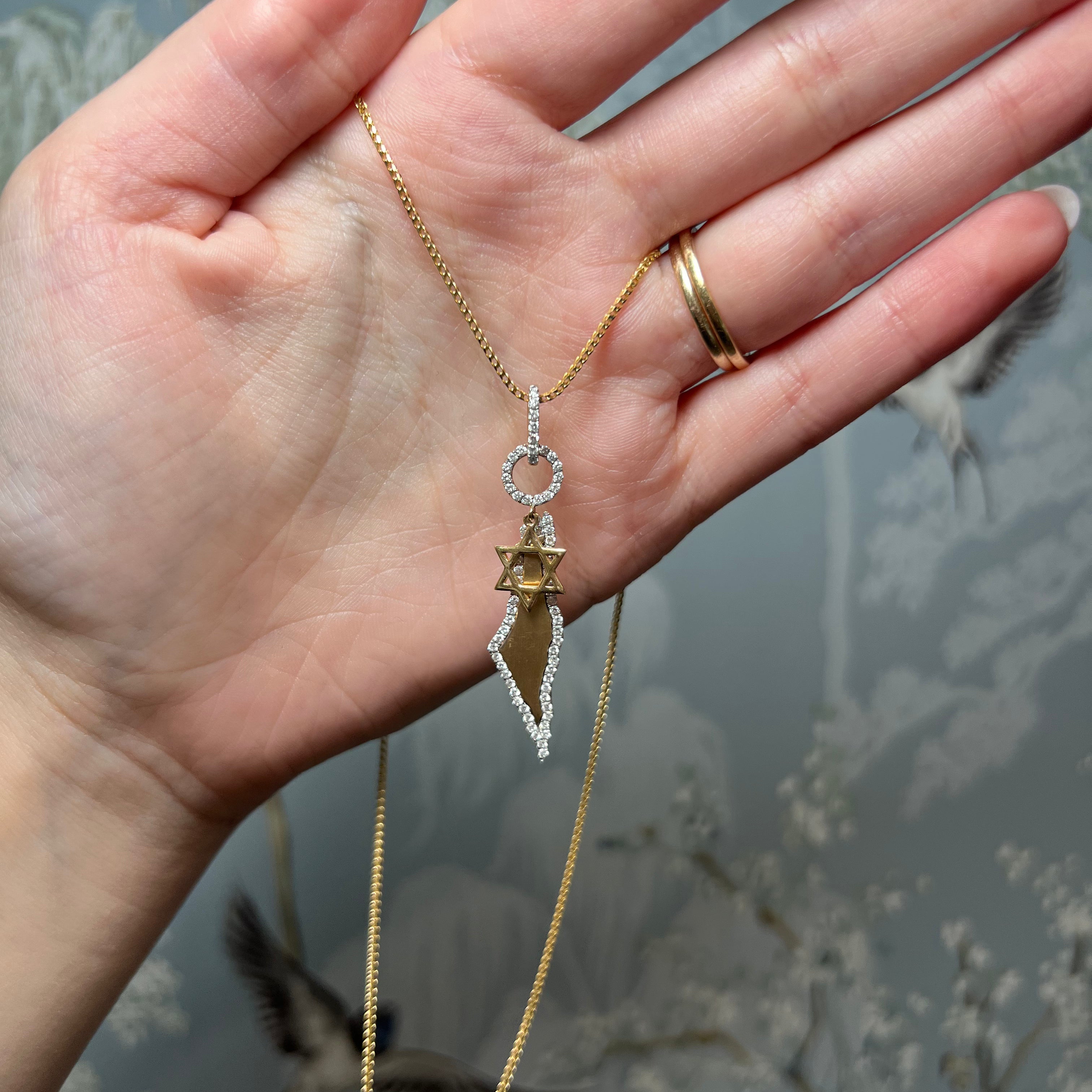 Israel Map & Diamond Magen David Charm