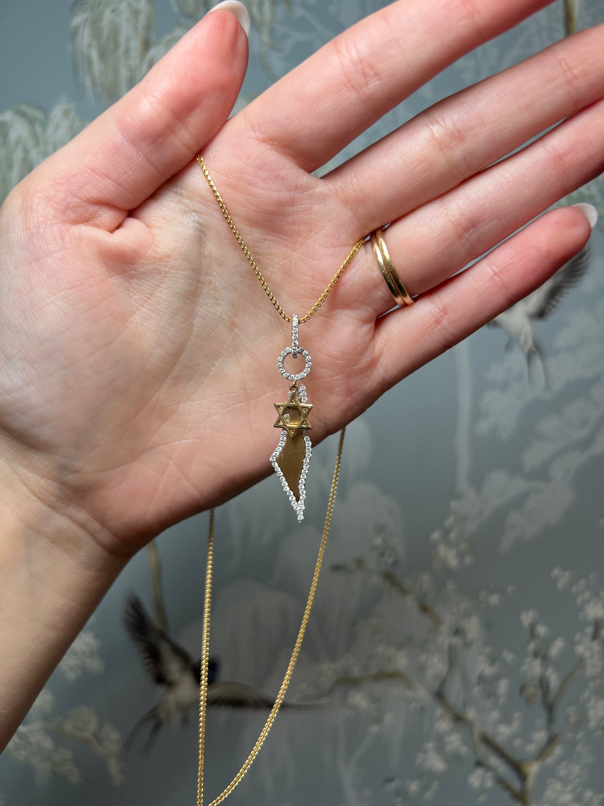 Israel Map & Diamond Magen David Charm