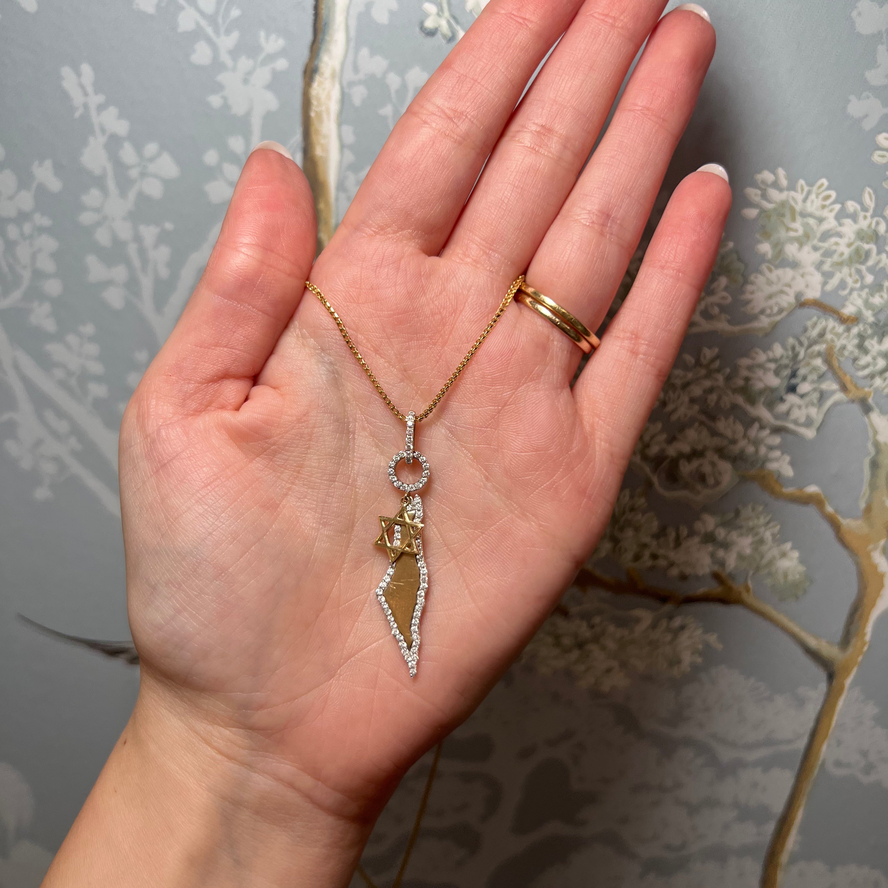 Israel Map & Diamond Magen David Charm