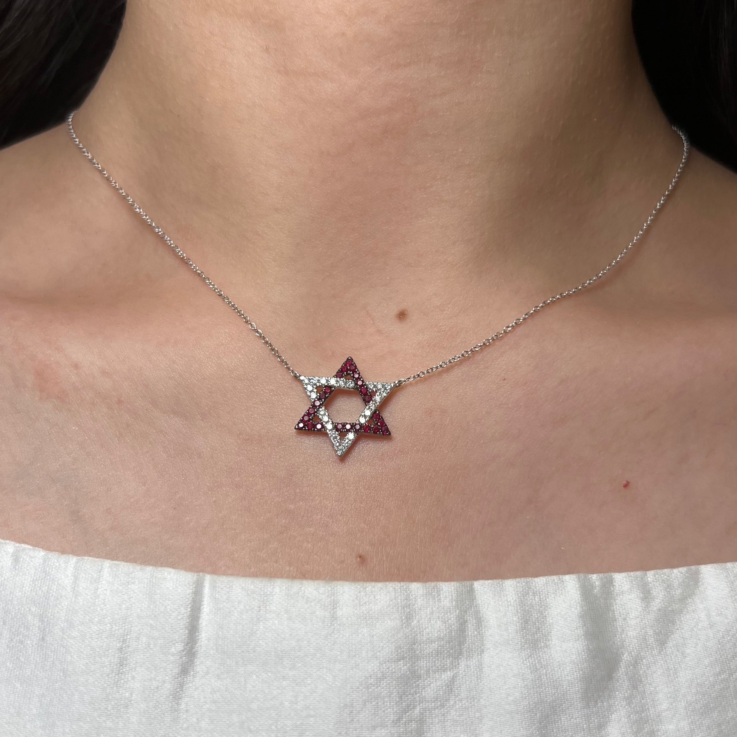14k White Gold Ruby and Diamond Magen David Necklace