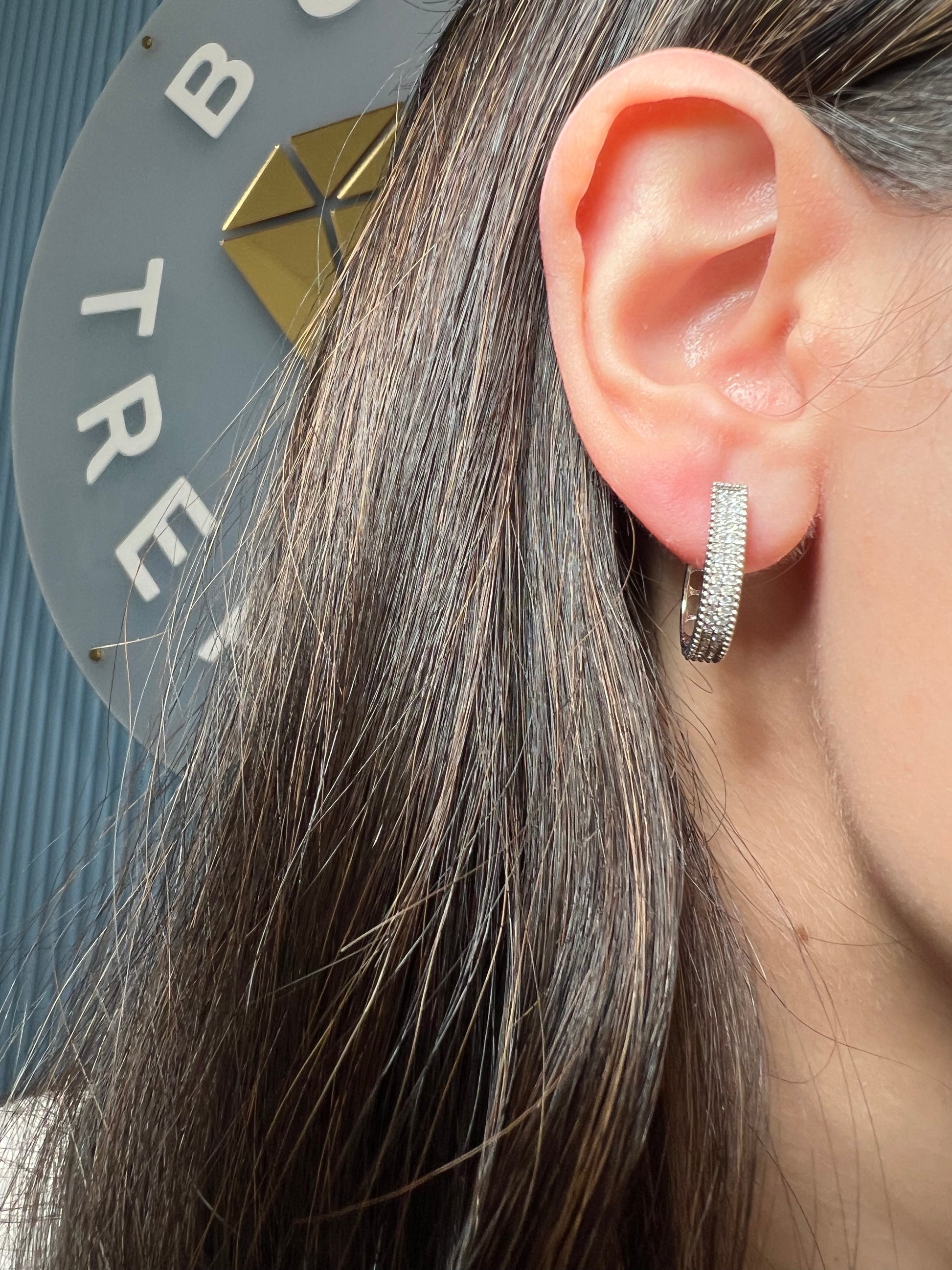 Diamond and White Gold Hoop Earrings