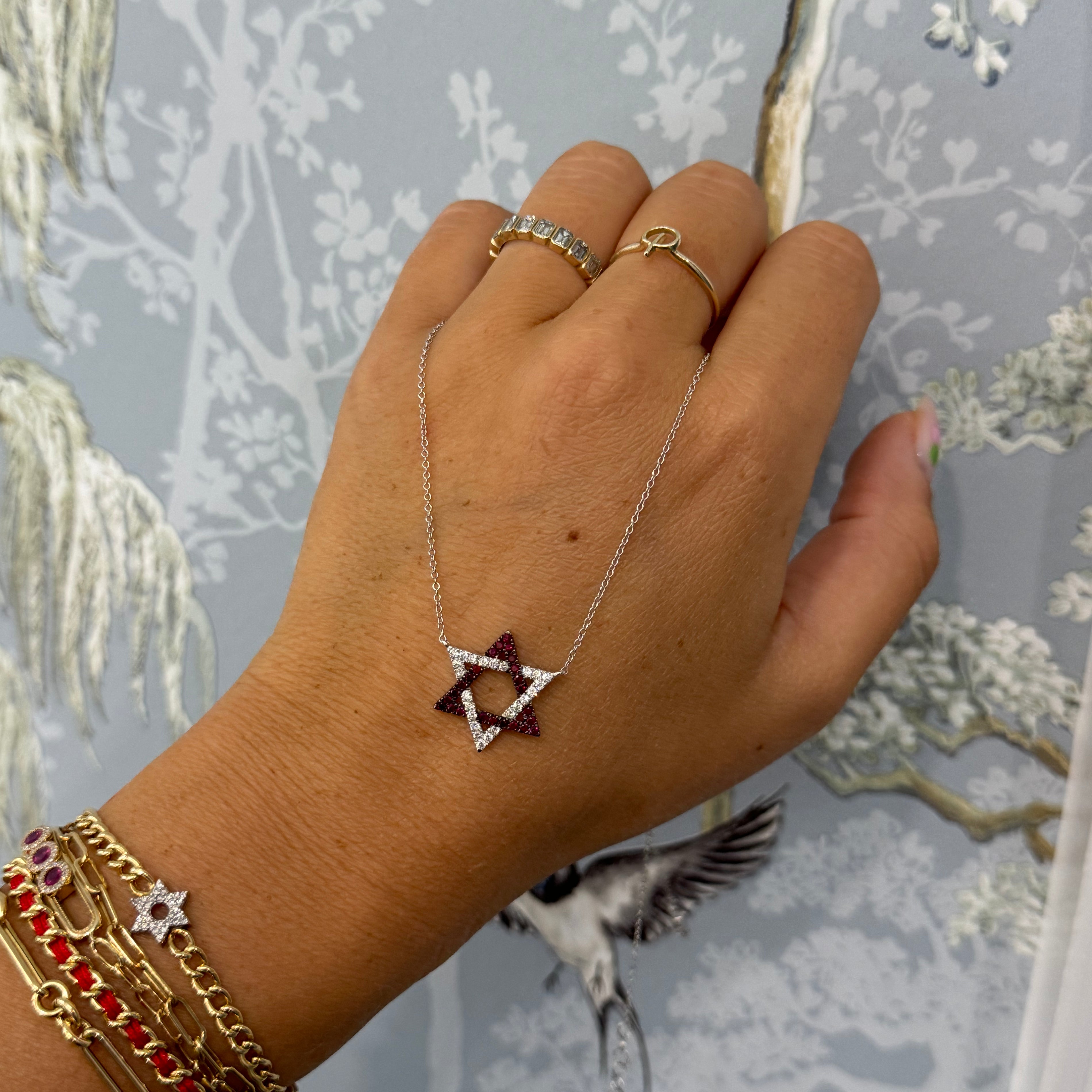 14k White Gold Ruby and Diamond Magen David Necklace